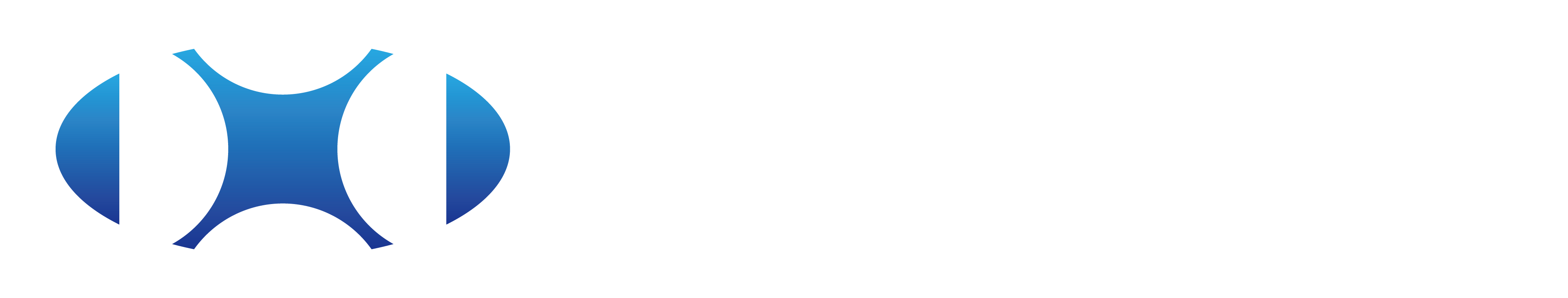 Geovixion